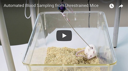 watch the automated blood sampling from unrestrained mice video