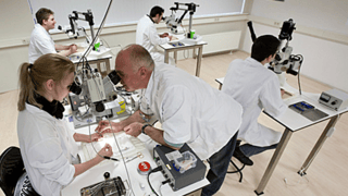 Working on Glucose Clamping in the lab