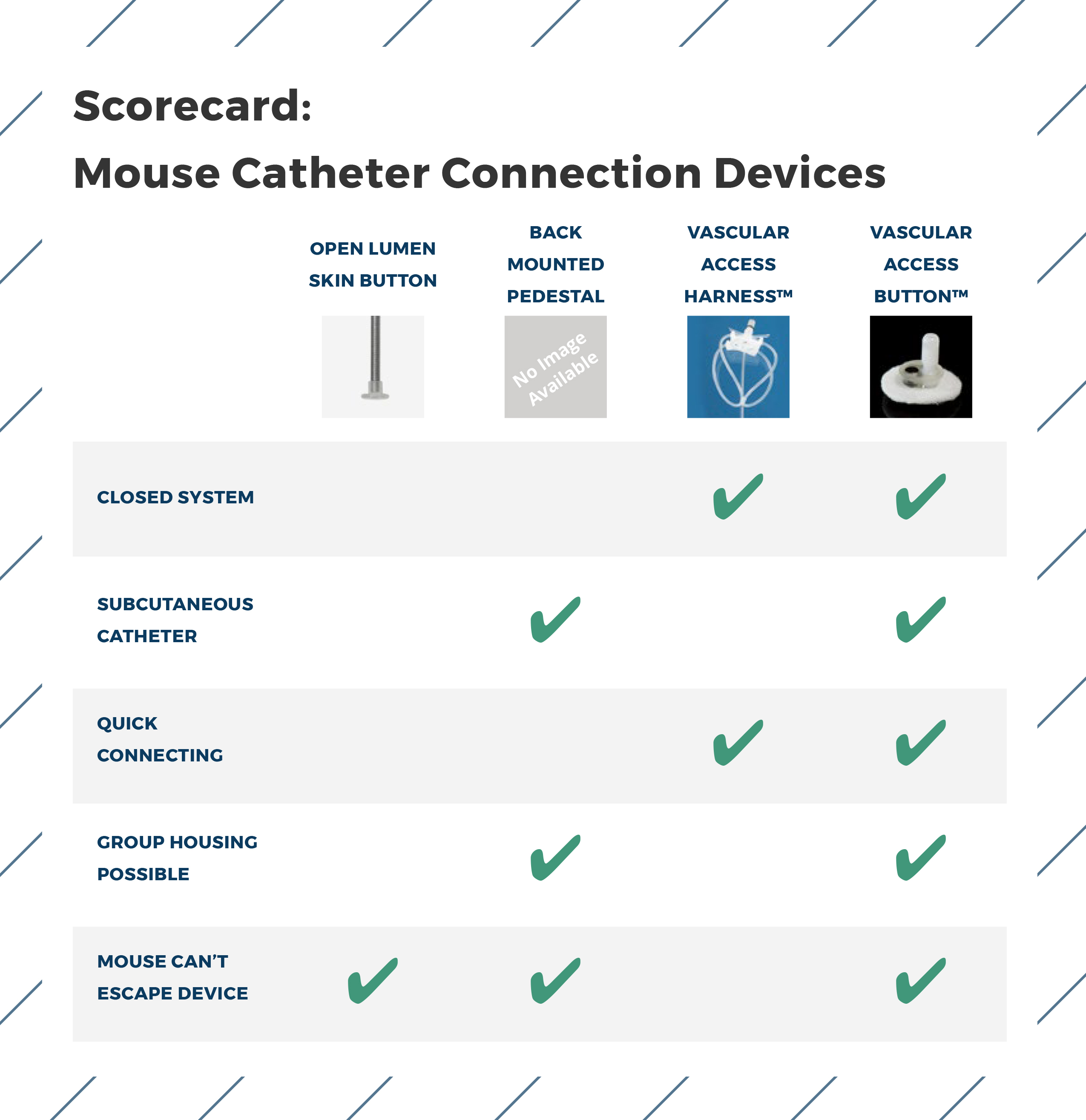 Mouse Catheter Scorecard