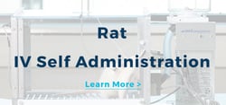 Rat IV Self Administration