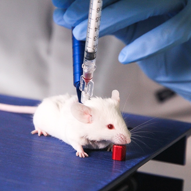 Blood Sampling from Mice and Rats Instech Laboratories