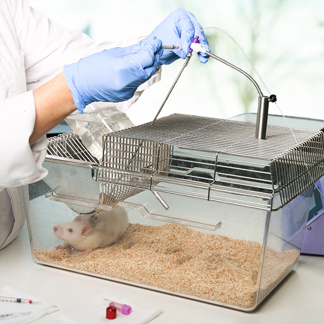 Mouse Continuous Infusion Plus Blood Sampling IV Drug Infusion Instech