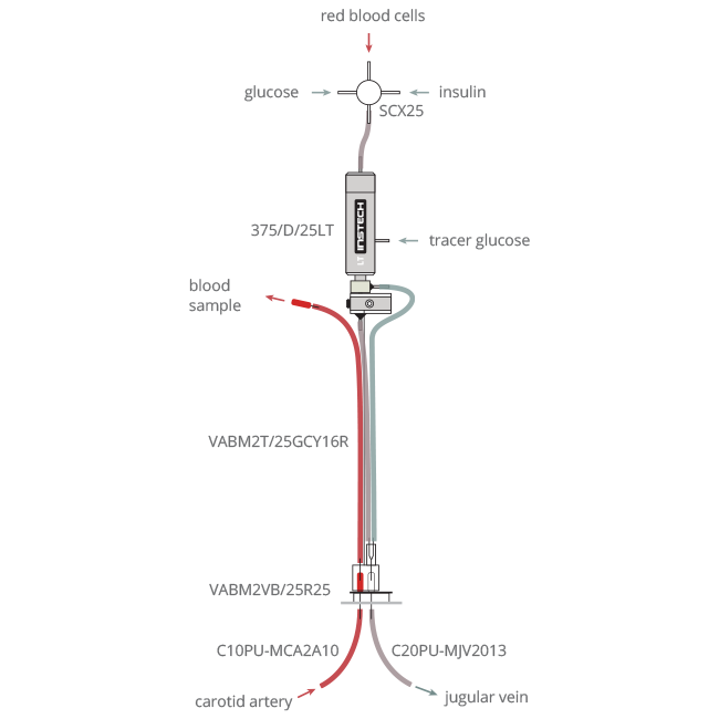 mouse glucose clamp