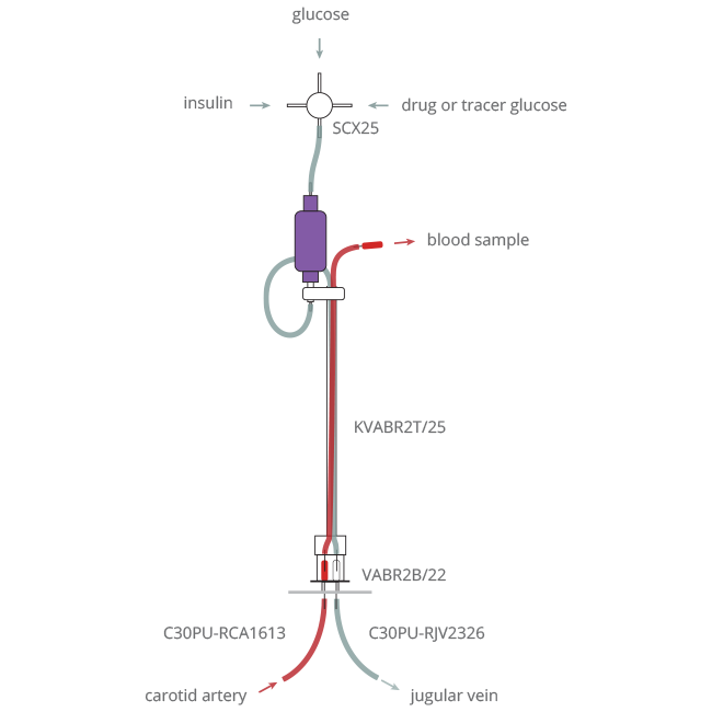 rat_glucose_clamp