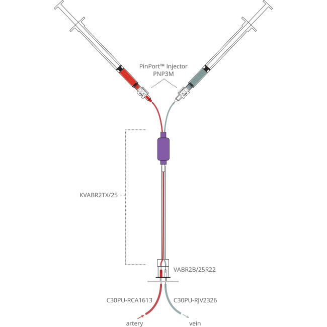 Rat Intermittent Infusion and Sampling