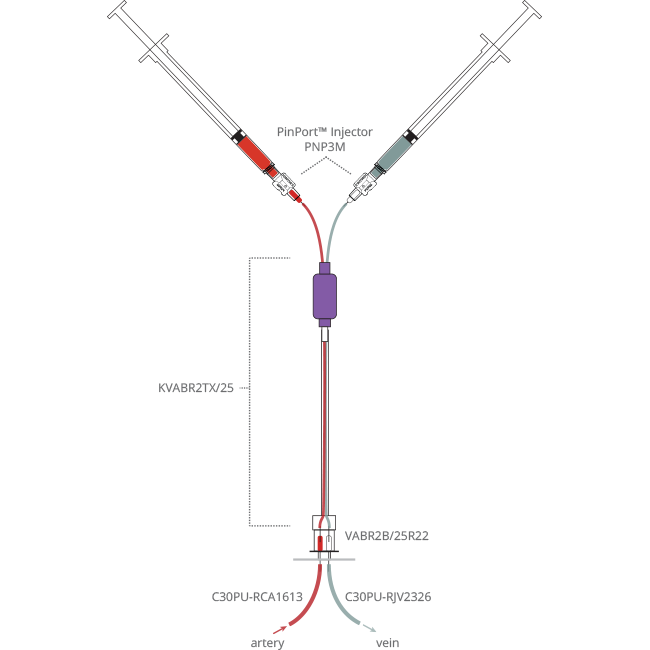 Rat Intermittent Infusion and Sampling