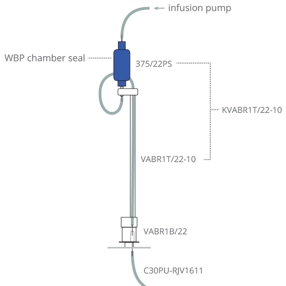 Rat Infusion and Whole Body Plethysmography