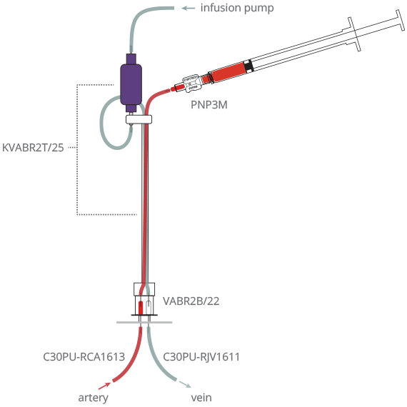 Rat Continuous Infusion Plus Blood Sampling