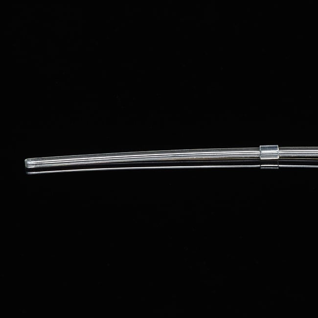 rat gastric catheter