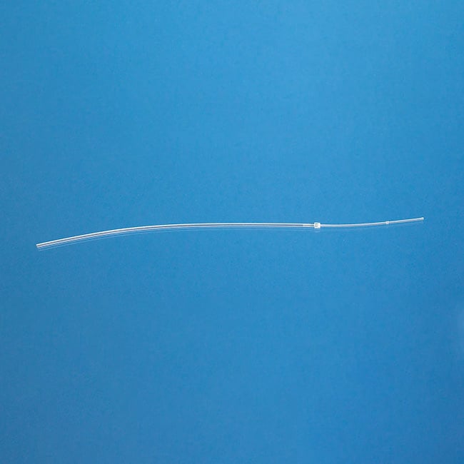 rat_carotid-1